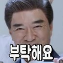 [왕십리] 왕십리곱창거리 왕십리 배들곱창 야채곱창맛집 내돈내산 후기
