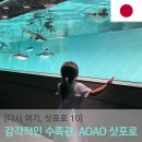 [다시 여기, 삿포로] 아오아오 삿포로 (AOAO SAPPORO) - 어른도 반해버린 감각적인 아쿠아리움