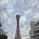 VISION | 251220-21) 미즈키나나 LIVE VISION 고베 후기