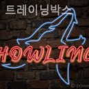 트레이닝 박스 하울링 이미지