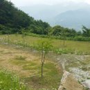 함양길공인중개사사무소 이미지