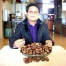 이관재농장 이미지