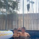 카르미아 이미지