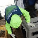 논산시 동물보호센터 이미지