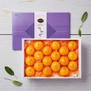 다올푸드 이미지