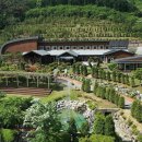 진안고원치유의숲 이미지