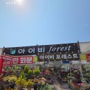 아이비화원 이미지