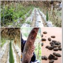 현암농장 이미지