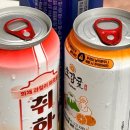 멍학당 | 2025 세종학당 문화인턴 합격 후기(2) - 국내교육