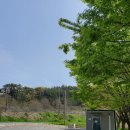 장안해수욕장 주차장 화장실 이미지