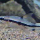 고래의꿈 수족관 이미지