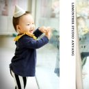 레몬트리 이미지