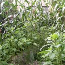 이화약국 이미지