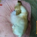 봉희농장 이미지