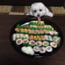 오로지연어랑 이미지