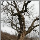 함계정사 이미지