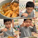 진안-진안-비상-15 | [2월19일(수)~20일(목) 발송가능한 메뉴]
