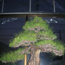 유원농장 이미지