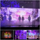 486펫콜 서울종로점 | 서울 종로 가볼만한곳 데이트 코스 쇼태권 종로3가 놀거리