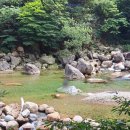 느티나무야영장 이미지