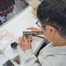 브릭과학교육