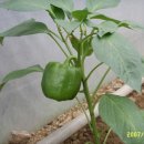 대근농장 이미지