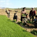 황주농장 이미지