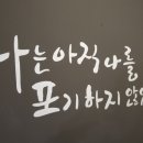 엠스타복싱클럽 이미지