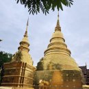 D I M | 태국 치앙마이 사원투어,노스커피.신라면 ,리포비탄 박카스,MIND빌라