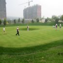 온그린 골프장 이미지