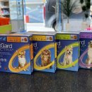 연세건강약국 이미지