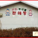 (주)팜스데이 | 임실치즈마을 체험 솔직한 후기