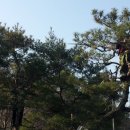 지산조경 이미지