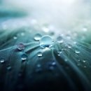 스마트세탁 이미지