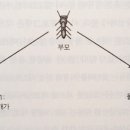 아스컴퓨터 이미지