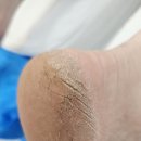 레푸스 방이역점 이미지