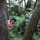 백범농장 Daum카페