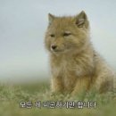 오피스종합물류 | 마케팅 경력직) 물류기업 한진 - 최합 후기 및 복지