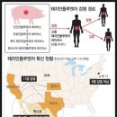 돼지정거장