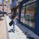 보듬펫살롱 이미지