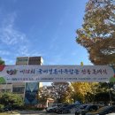 국제결혼문화원 이미지