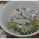 제주복어 이미지