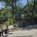 아차산 동행숲길 | 🌿 2025년 봄 아차산 산책길 (동행숲길 &amp; 어울림정원) 산책 후기｜가족과 걷는 길, 그 자체가 힐링