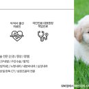 리움동물의료센터 이미지
