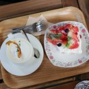 스테이캄 이미지