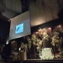 사화로17번길 | [웨딩] 창원웨딩의전당 26.04 본식 후기