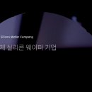 에스케이실트론주식회사(3) - 1124 | 에스케이실트론주식회사(3)