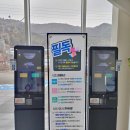 만성로2 | 여수 만성로 미디어아트 녹테마레, 부모님 모시고 간 여수실내가볼만한곳 솔직 후기 (주차/티켓 정보)