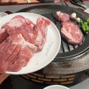 부산갈매기 | 봉명동 가성비 맛집 부산갈매기 내돈내산 후기