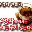 우엉 물대신 우엉차 카페인 이미지